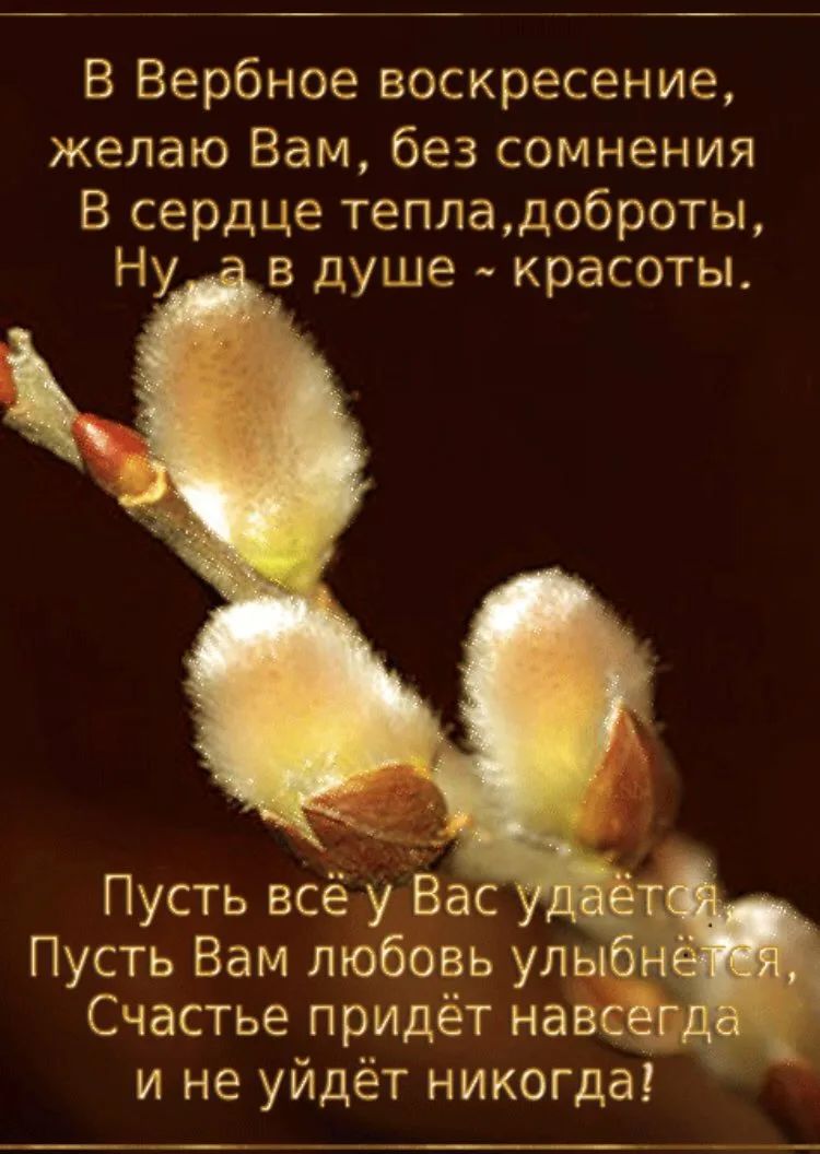 В Вербное воскресение желаю Вам без сомнения В сердце тепладоброты Ну в душе красоты Пусть Вам любовь улы _ Счастье придёт навсёс и не уйдёт никогда