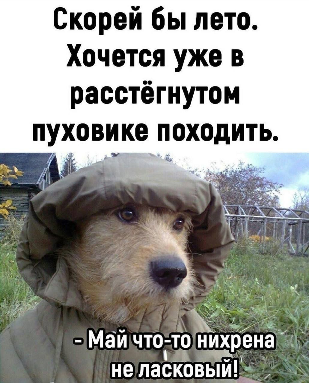 Скорей бы лето Хочется уже в расстёгнутом пуховика походить Май что то Нихрена не пасковый