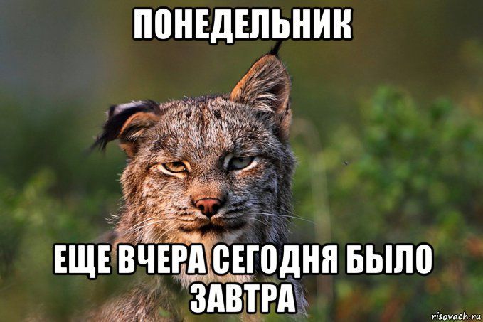 ППНЕДЕПЬНИН