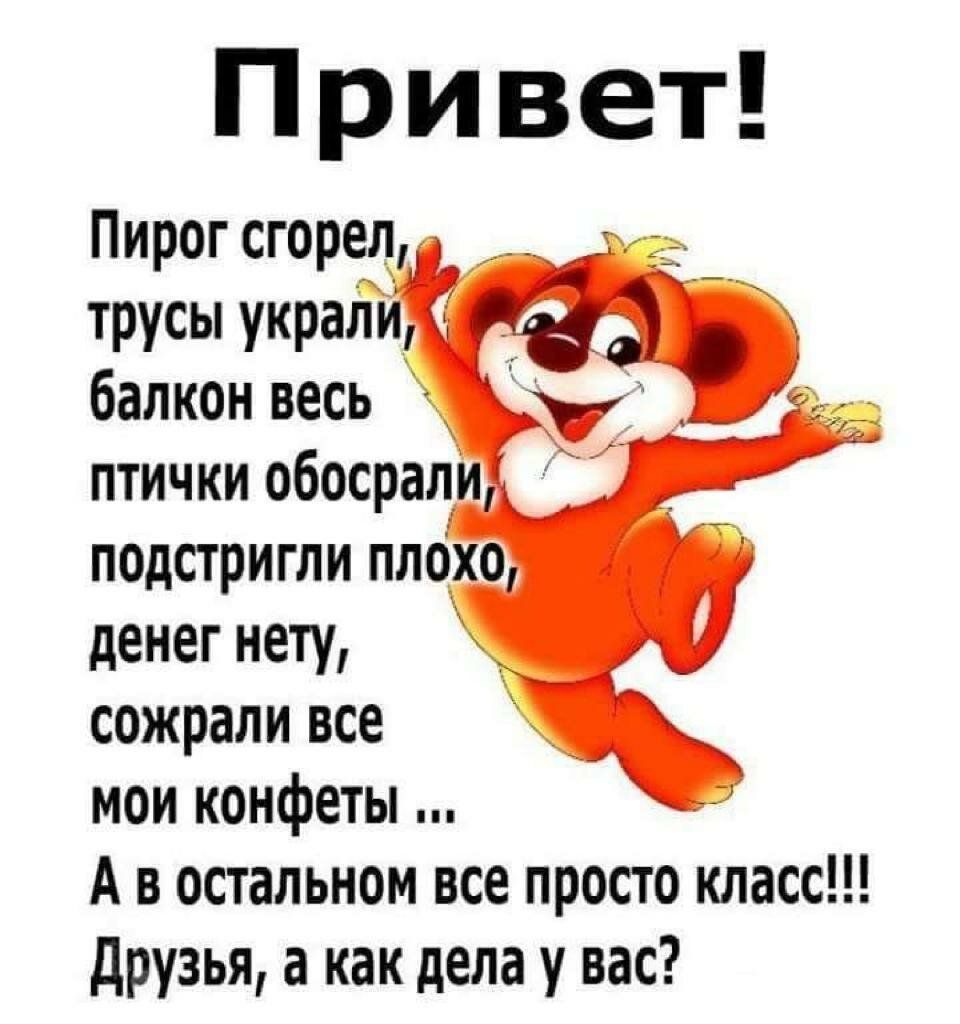 Привет Пирог сгорел трусы украл балкон весь птички обосрал подстригли пло о денег нету сожрали все мои конфеты А в остальном все просто класс друзья а как дела у вас