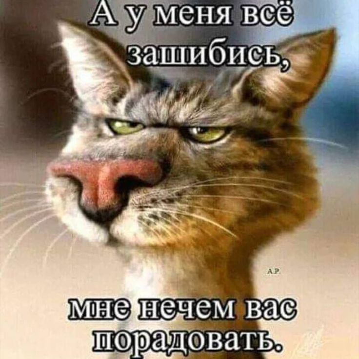 Аёйеня вёё зщиЁеёд