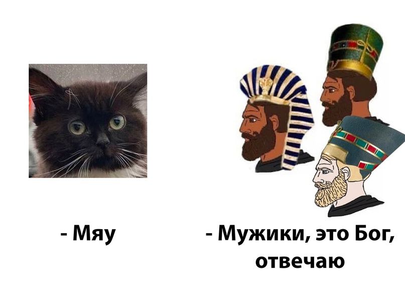 Мяу Мужики это Бог отвечаю