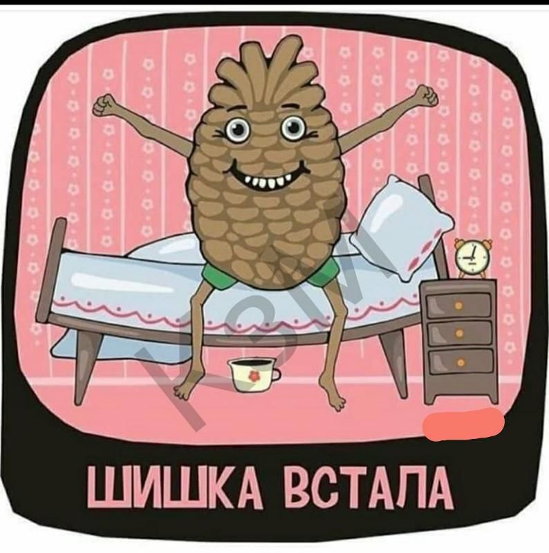 ШИШКА ВСТАПА