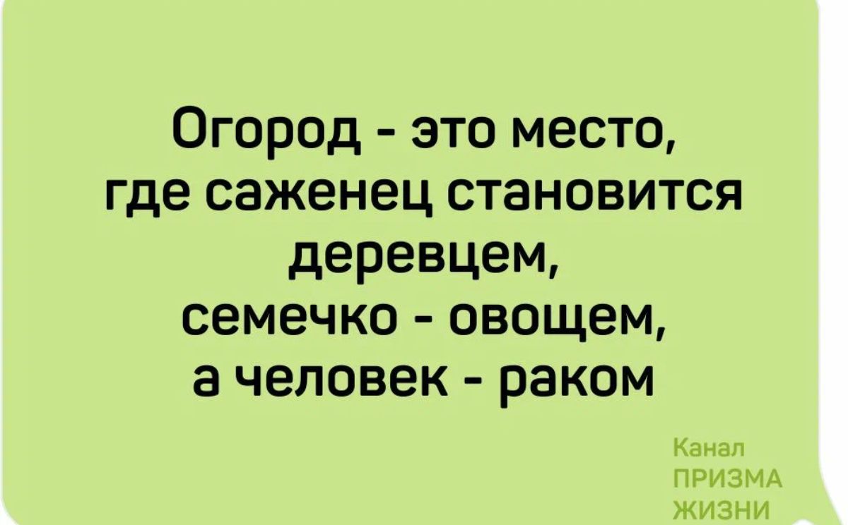 Огород это место где саженец становится деревцем семечко овощем ачеловек раком Канал ПРИЗМА И