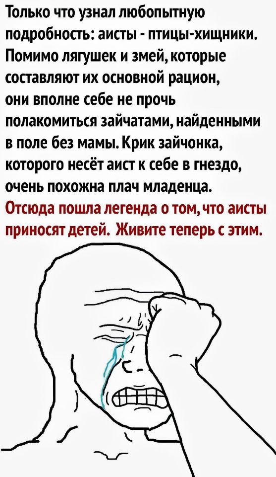 Только что узнал любопытную подробность аисты птиЦЫ ХИЩНИиКИ Помимо лягушек и змей которые составляют их основной рацион они вполне себе не прочь полакомиться зайчатами найденными в поле без мамы Крик зайчонка которого несёт аист к себе в гнездо очень похожна плач младенца Отсюда пошла легенда о том что аисты приносят детей Живите теперь с этим