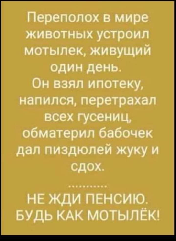 Переполох в мире животных устроил мотылек живущий один день Он взял ипотеку напился перетрахал всех гусениц обматерил бабочек дал пиздюлей жуку и сдох НЕ ЖДИ ПЕНСИЮ БУДЬ КАК МОТЫЛЁК