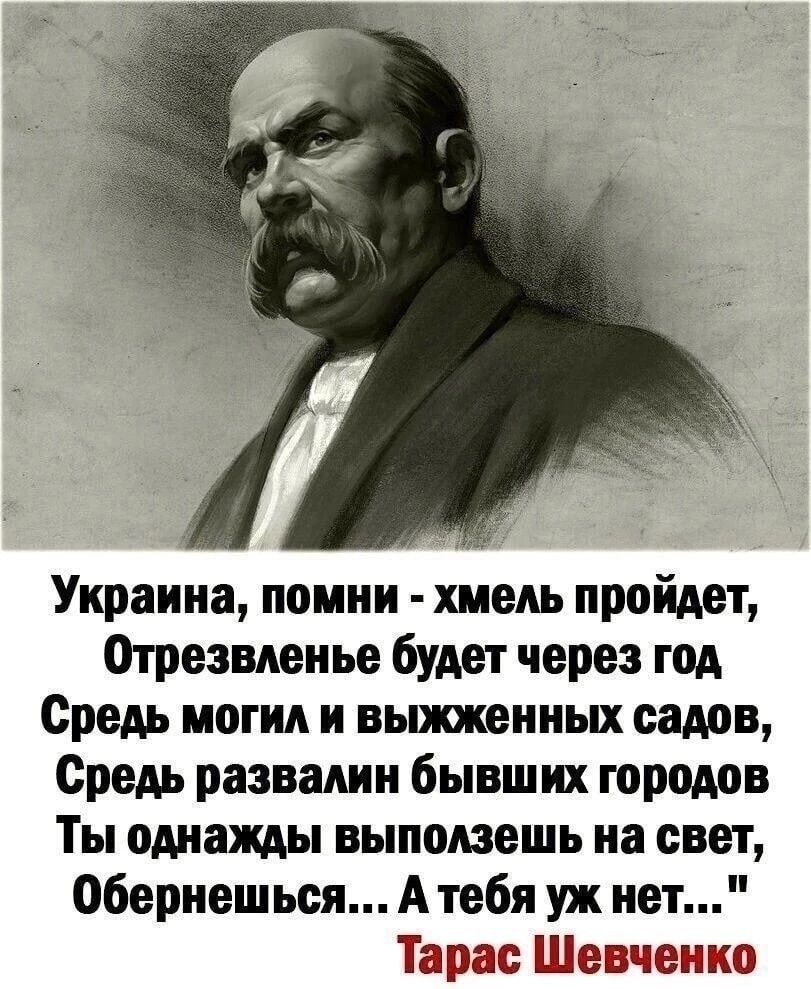 Украина помни хмель пройдет Отрезвленье будет через год Средь могил и выжженных садов Средь развалин бывших городов Ты однажды выползешь на свет Обернешься А тебя уж нет Тарас Шевченко