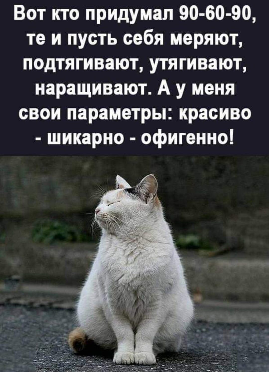 Вот кто придумал 90 60 90 те и пусть себя меряют подтягивают утягивают наращивают А у меня свои параметры красиво шикарно офигенно