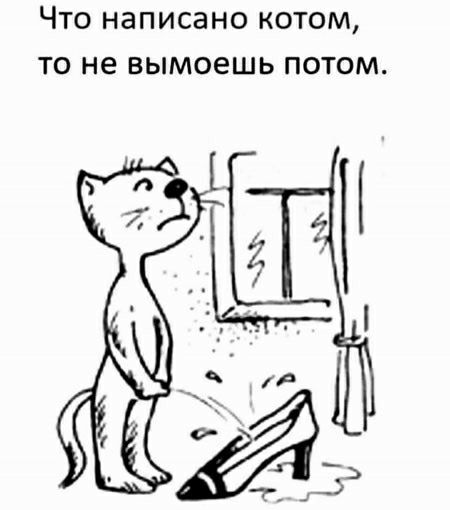 Что написано котом то не вымоешь потом