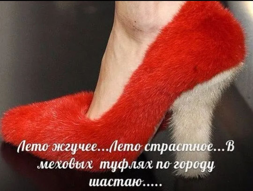 Лето жарче...Лето страстное...В меховых туфлях по городу шагаю.....
