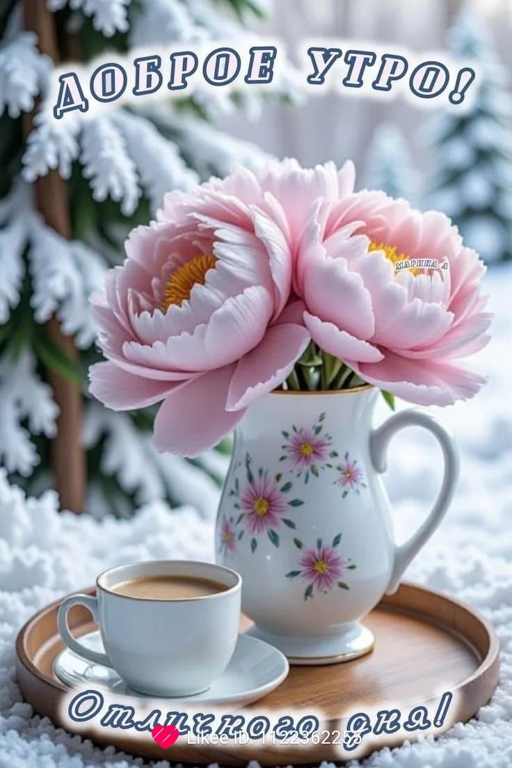 Доброе утро! Отличного дня!