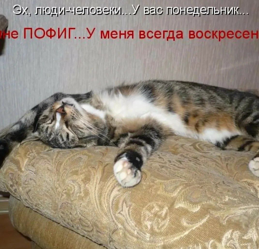 Э тепиеЛОвеИ че ПОФИГУ ме ня всегд