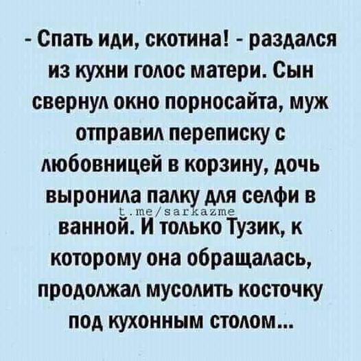 - Спать иди, скотина! - раздался из кухни голос матери. Сын сверкнул окно порносайта, муж отправил переписку с любовницей в корзину, дочь выронила палку для селфи в ванной. И только Тузик, к которому она обращалась, продолжал грызть косточку под кухонным столом...