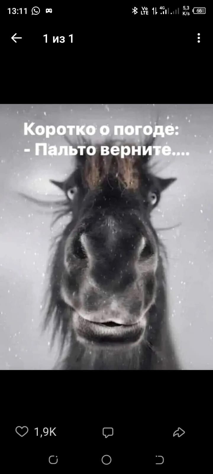 Коротко о погоде: - Пальто верните....