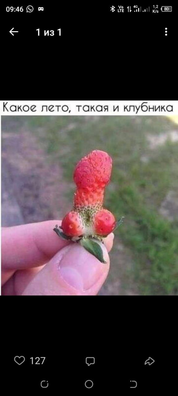 Какое лето, такая и клубника