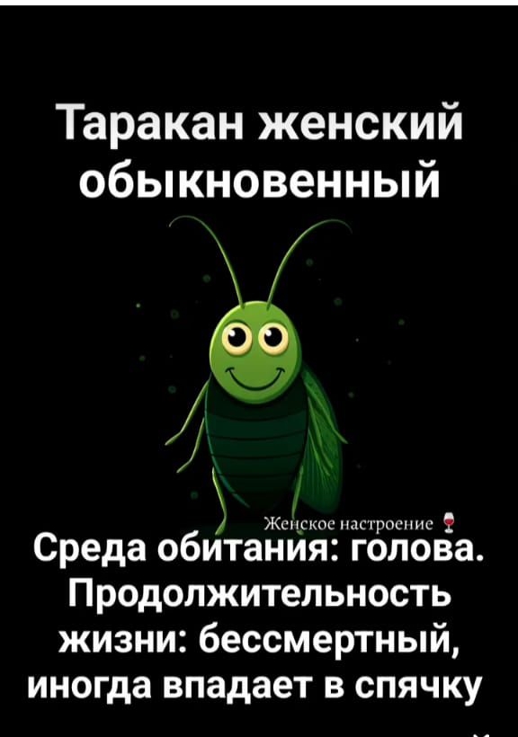 Таракан женский обыкновенный
Среда обитания: голова. Продолжительность жизни: бессмертный, иногда впадает в спячку