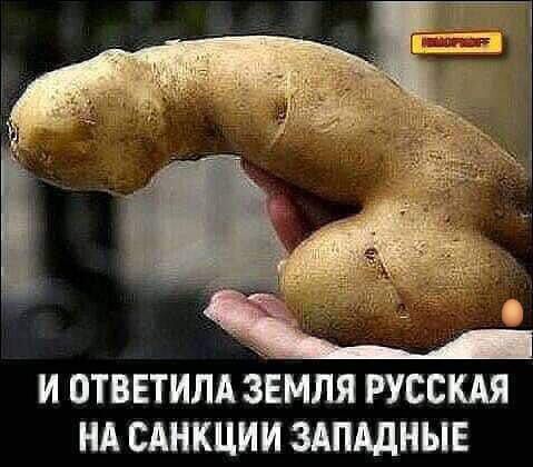 И ответила земля русская на санкции западные