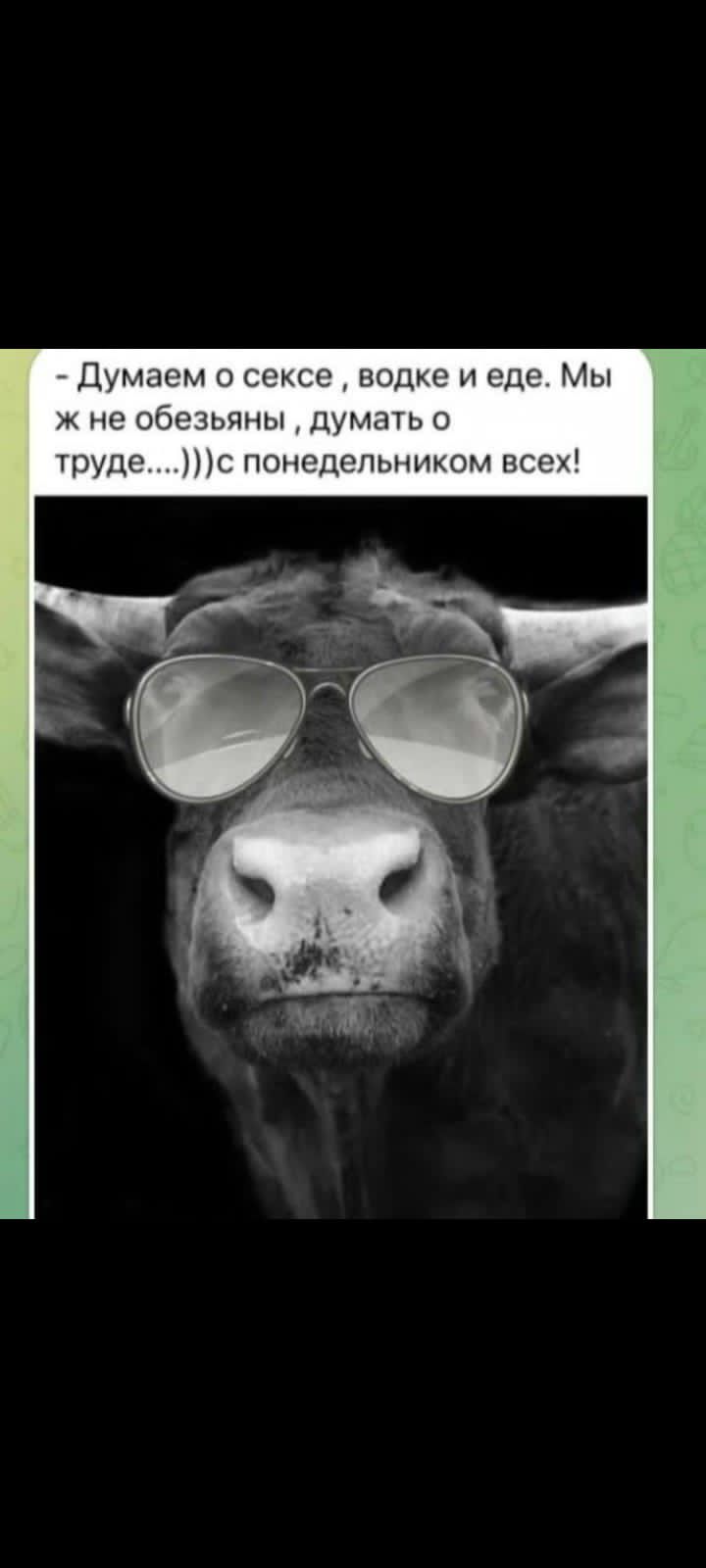 - Думаем о сексе ,vodке и еде. Мы ж не обезьяны, думать о труде....))) с понедельником всех!