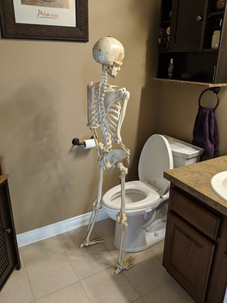 Скелет стоит у туалета в ванной