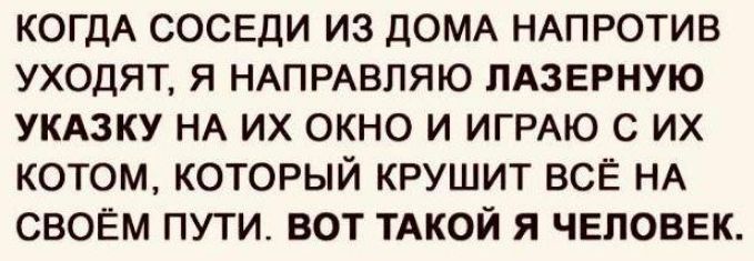 КОГДА СОСЕДИ ИЗ ДОМА НАПРОТИВ УХОДЯТ, Я НАПРАВЛЯЮ ЛАЗЕРНУЮ УКАЗКУ НА ИХ ОКНО И ИГРАЮ С ИХ КОТОМ, КОТОРЫЙ КРУШИТ ВСЁ НА СВОЁМ ПУТИ. ВОТ ТАКОЙ Я ЧЕЛОВЕК.