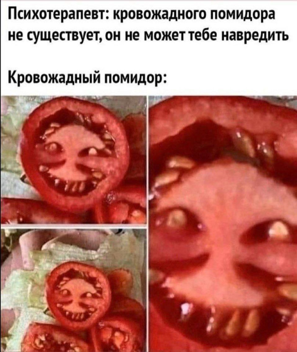 Психотерапевт: кровожадного помидора не существует, он не может тебе навредить\nКровожадный помидор: