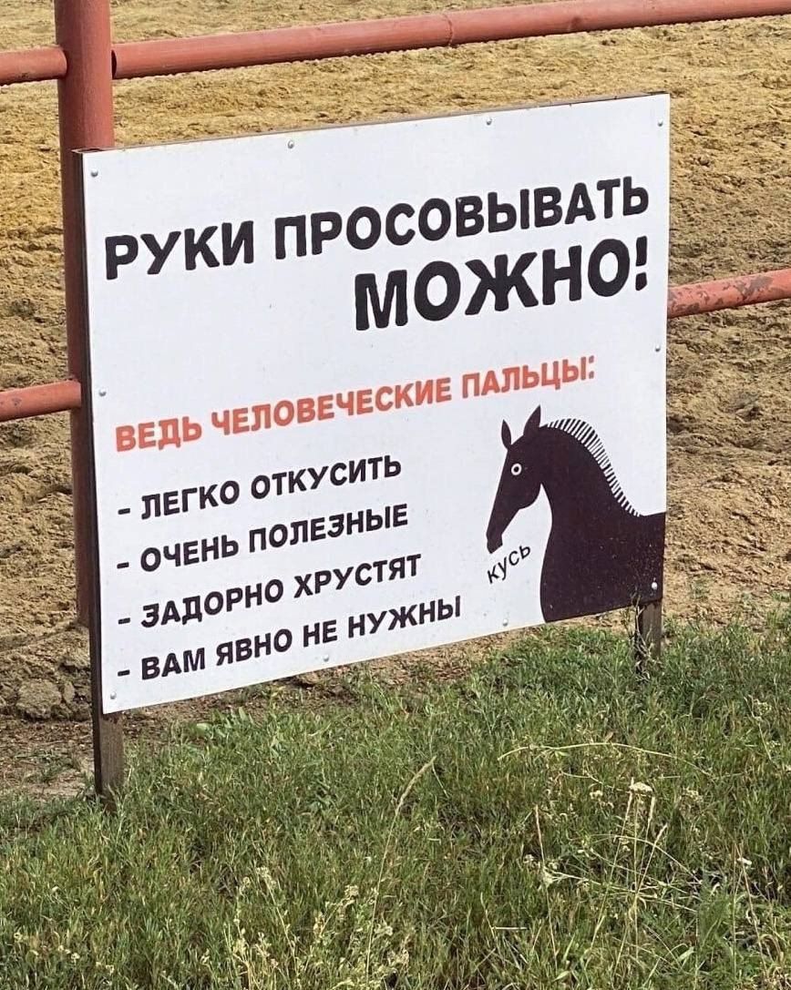 РУКИ ПРОСОВЫВАТЬ МОЖНО! ВЕДЬ ЧЕЛОВЕЧЕСКИЕ ПАЛЬЦЫ: - ЛЕГКО ОТКУСИТЬ - ОЧЕНЬ ПОЛЕЗНЫЕ - ЗАДОРНО ХРУСТЯТ - ВАМ ЯВНО НЕ НУЖНЫ