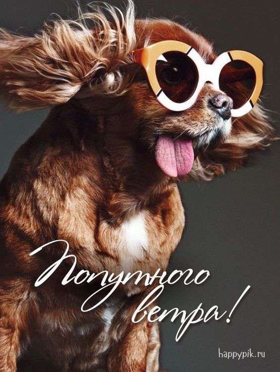 Попутного ветра! happypik.ru