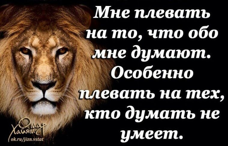 Мне плевать _ на то что обо ЗМ Амне думают Особенно 3 плевать на тех МЖ кто думать не умеет