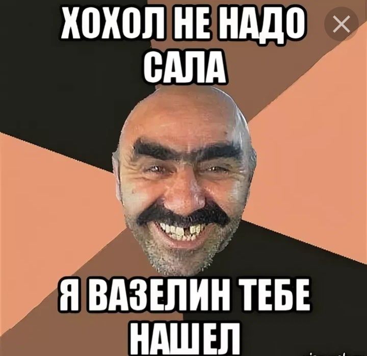 хохол нвнддо х едпц _ 31593 н вдзЁітин ТЕБЕ ндшш