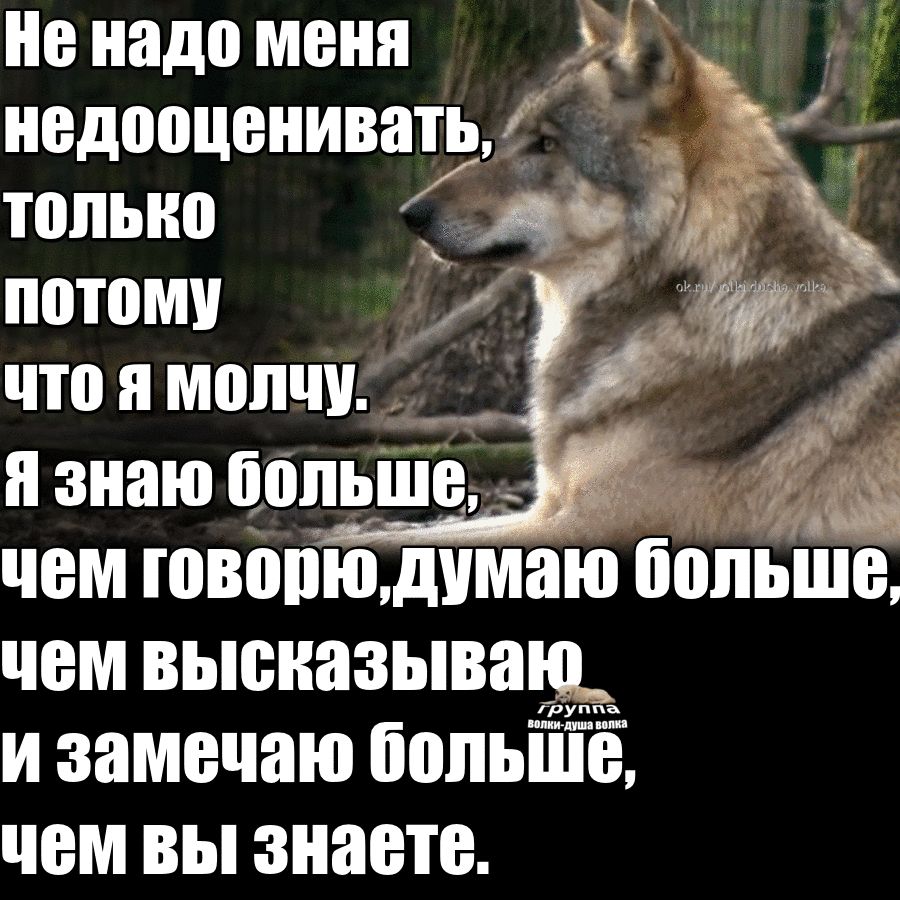 Не надо МЕНЯ недооценивать только 393 потому что я молчу __ и знаю бепьше чем ювепюшмаю больше чем высказываю и замечаю пепьшЁ ЧЕМ ВЫ знаете