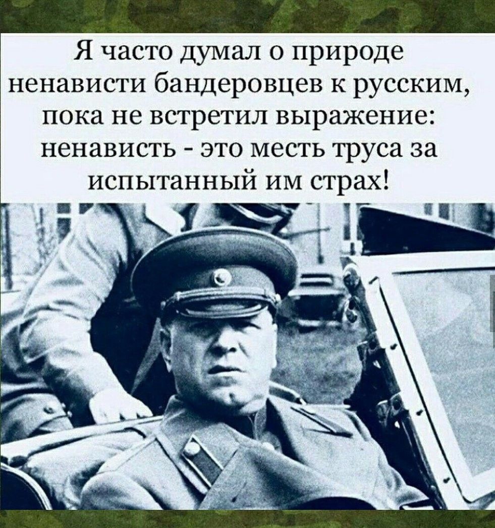 Я часто думал о природе ненависти бандеровцев к русским пока не встретил выражение ненависть это месть труса за