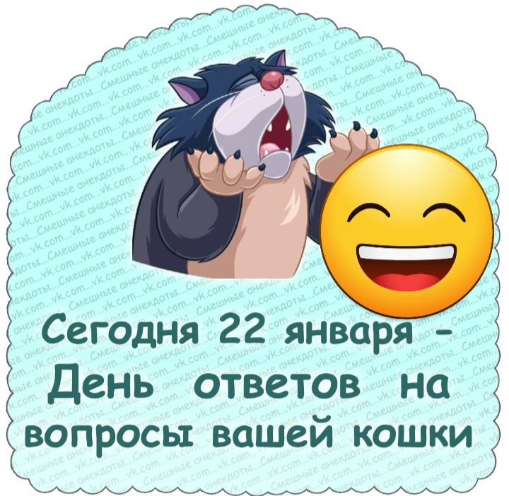 Сегодня 22 января День ответов на вопросы вашей кошки МАЩ