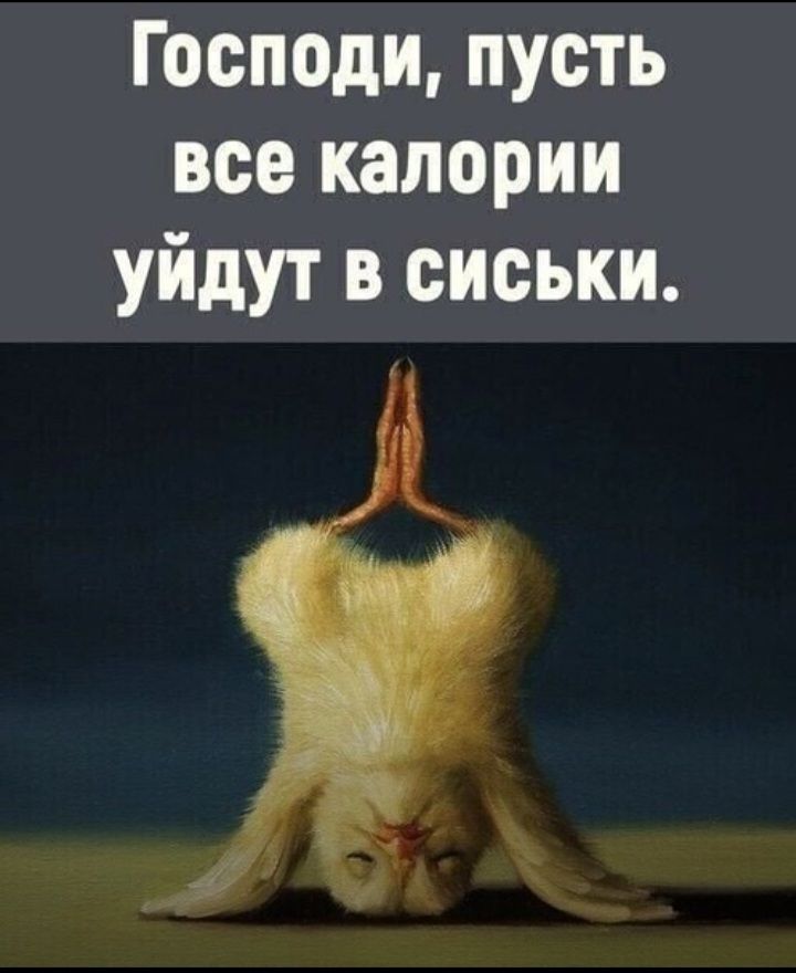 Господи пусть все калории уйдут в сиськи