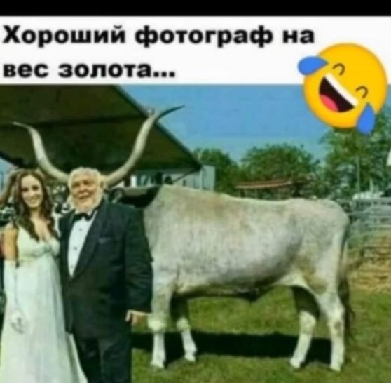 Хороший фотограф на вес золота О