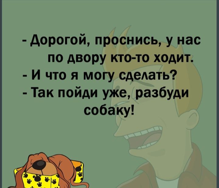 дорогой проснись у нас по двору кто то ходит И что я могу сделать Так пойди уже разбуди собаку