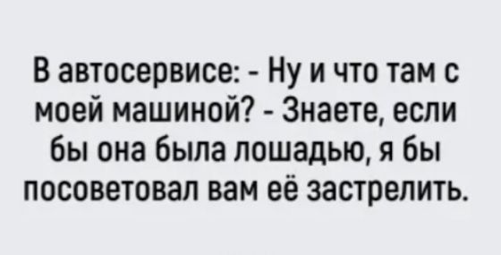 В автосервисе Ну и что там с моей машиной Знаете если бы она была лошадью я бы посоветовал вам её застрелить