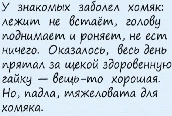 У знакомых задом хомяк АеЖИИА не бсмаём гоюбу поднимаем и роняеил не ест ничего Оказмось беса дено иряидад за щекой здоровенную гайку вещиила хорошая Но падш тяжеюбама дАя хомяка