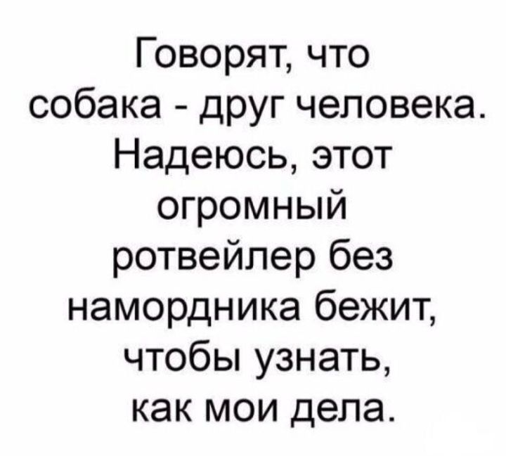 Говорят что собака друг человека Надеюсь этот огромный ротвейлер без намордника бежит чтобы узнать как мои дела