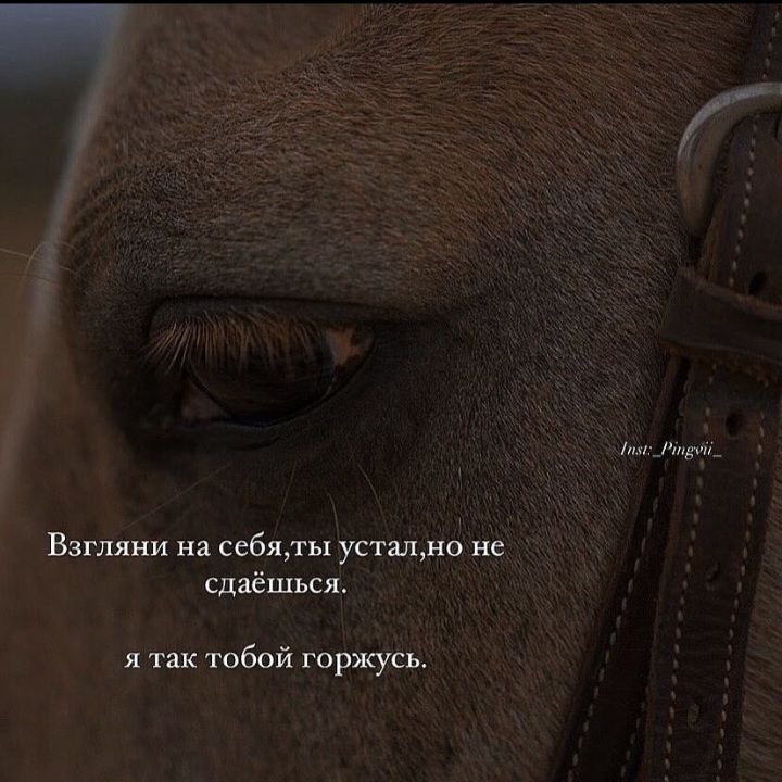 Взгляни сс6яты ус но не сдаёшься я тобой горжусь итд