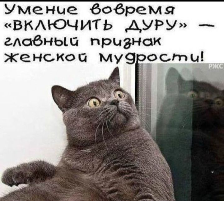 Умение вовремя ВКАЮЧИТЬ АУРУ адобньщ признак Женской музроты