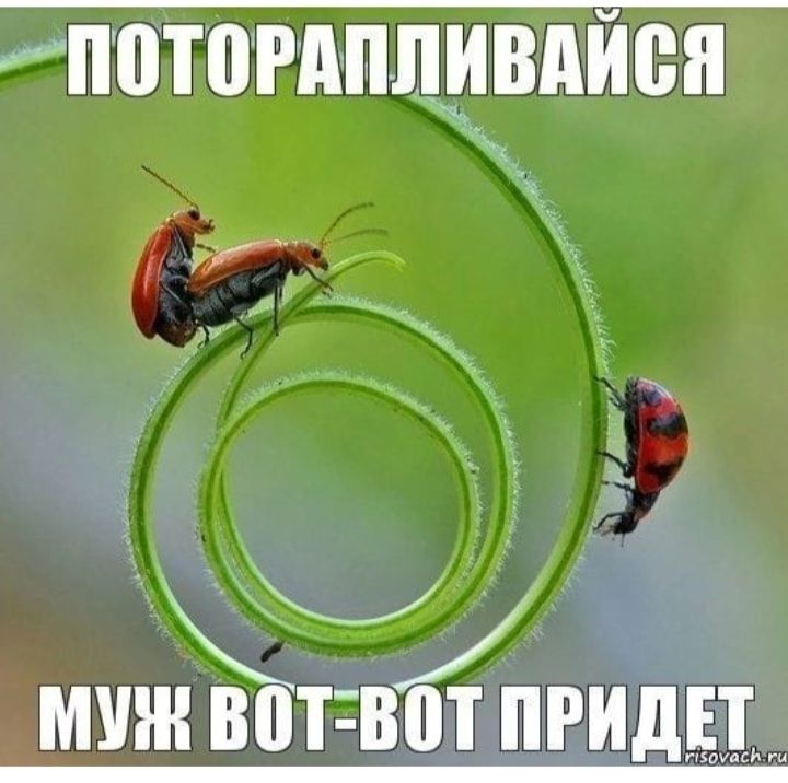 пптогипщівдиеи