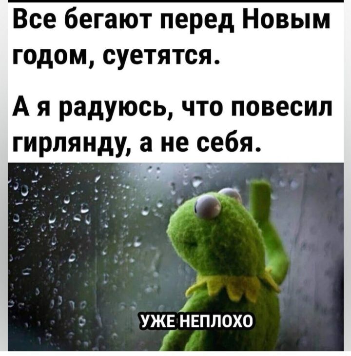 Все бегают перед Новым годом суетятся А я радуюсь что повесил гирпянду а не себя УЖЕ НЕПЛОХО
