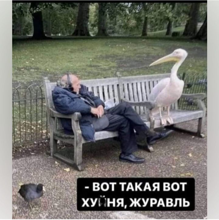 ВТААЯВОТ хуйня журдвль