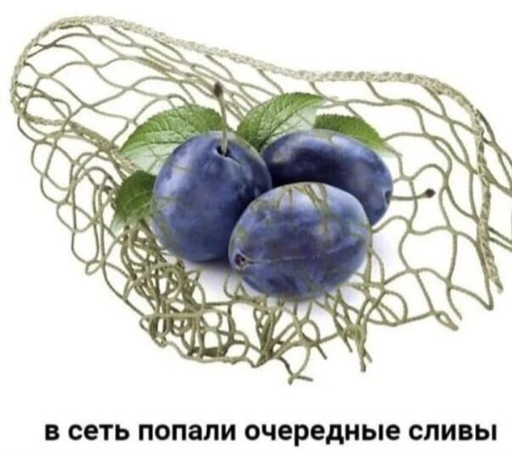 В есть попали очередные сливы