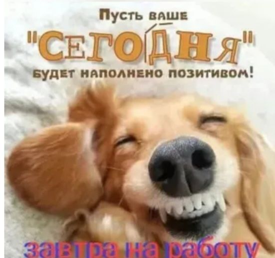 Пусть ваш _ Щ ЕНЫ 41277 ЁУДЦТ ИАПОАПЦИО ПОЗИТИВОН