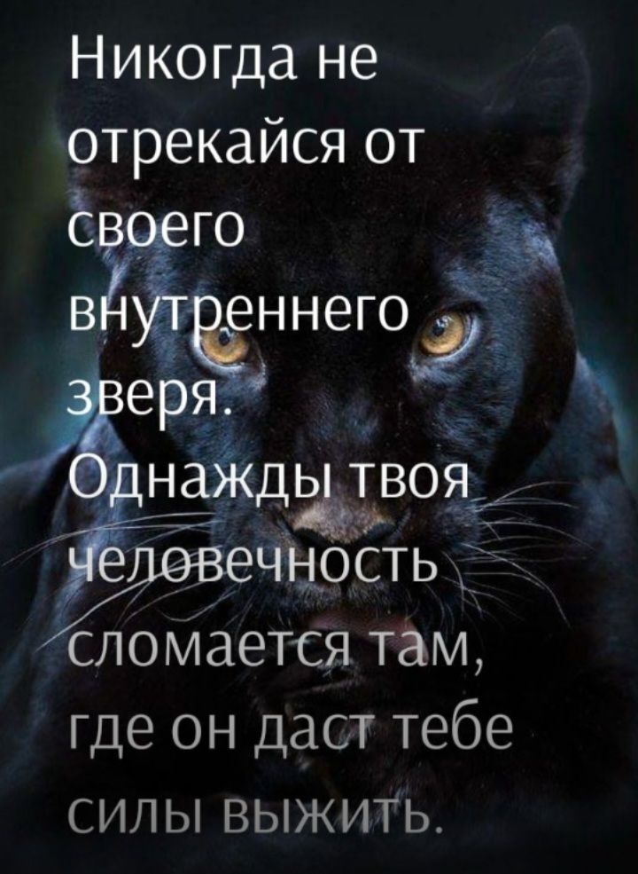 Никогда не отрекайся от ЁЁЁННЕГОЭ еря _ найдётся жчёясість сломается там где он Даст тебе силы выжить