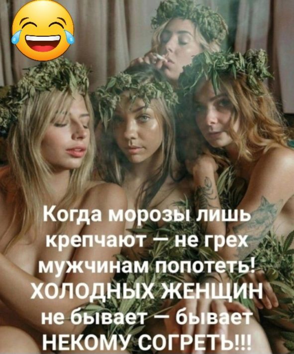 АНЕКШ СОГ