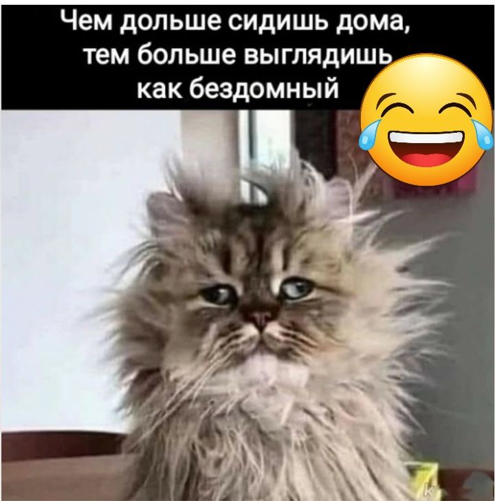 Чем дольше сидишь дома тем больше выглядишь как бездомный