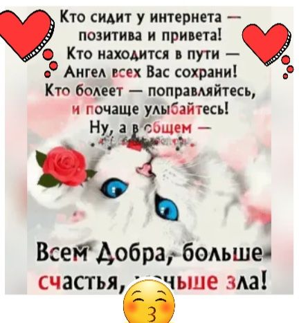 Кто сидит у интернета позитива и привета Кто находится пути Ангм всех Вас сохрани Кто бодеет поправмйтесь и почаще улыбайтесь Ну іёощн Всетдобраг бодьшея счастья атчьше ада