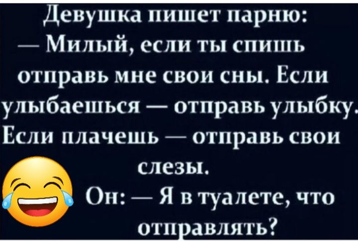 Девушка пишет парню Милый если ты спишь отправь мне свои сны Если улыбаешься отправь улыбку Если плачешь отправь свои слезы Я в туалете что отп авлять Он